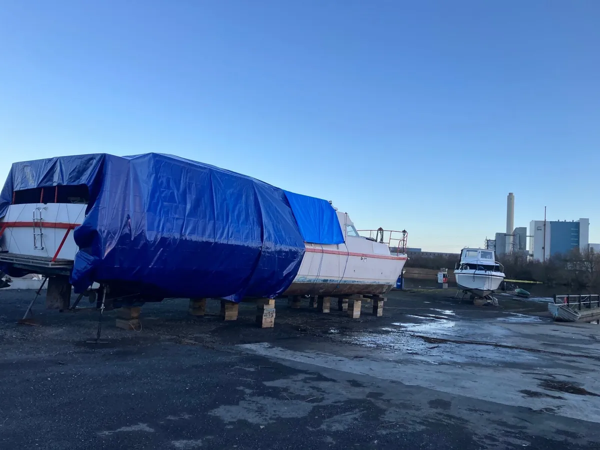 Shannon Cruiser - Image 4