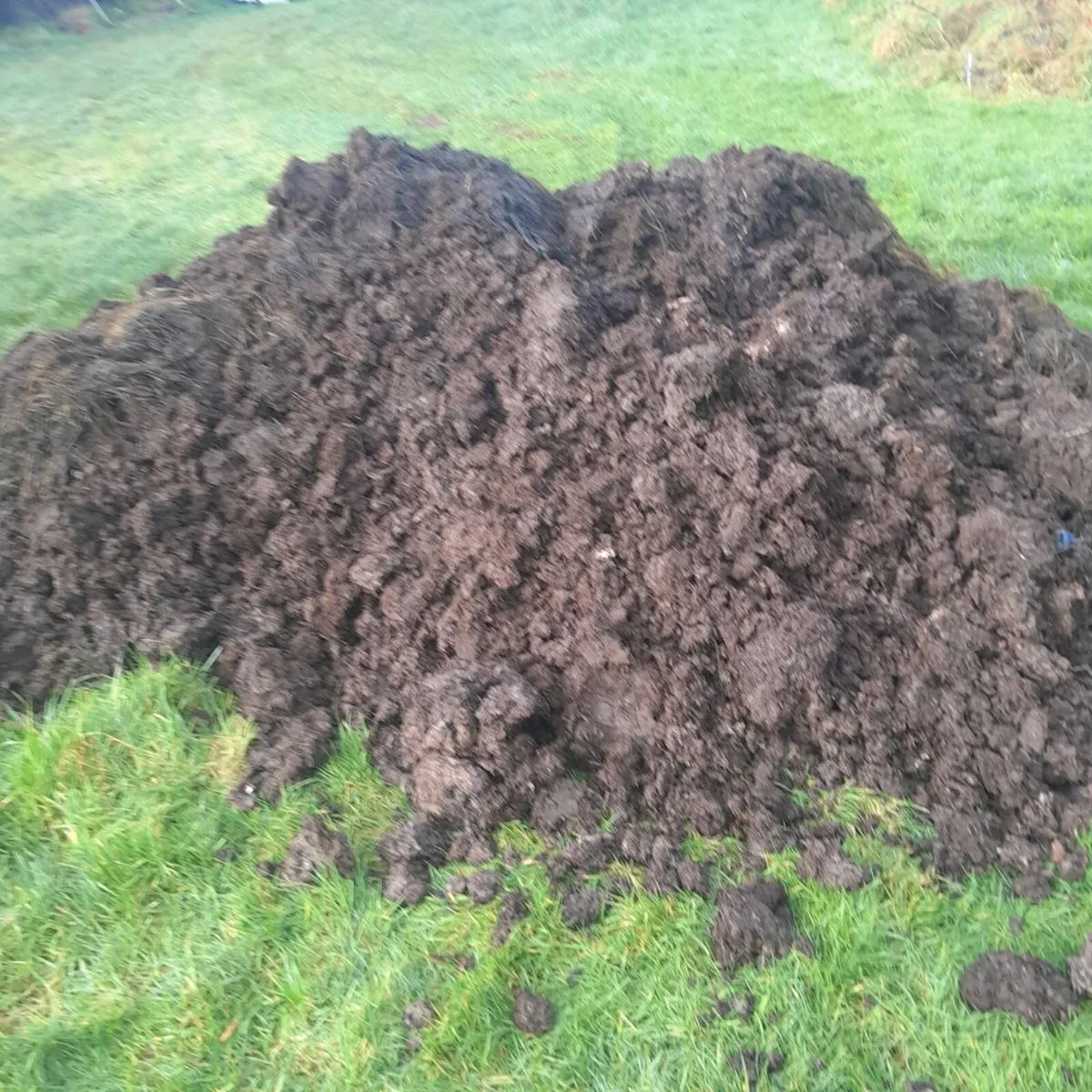 Mushroom compost - Image 3