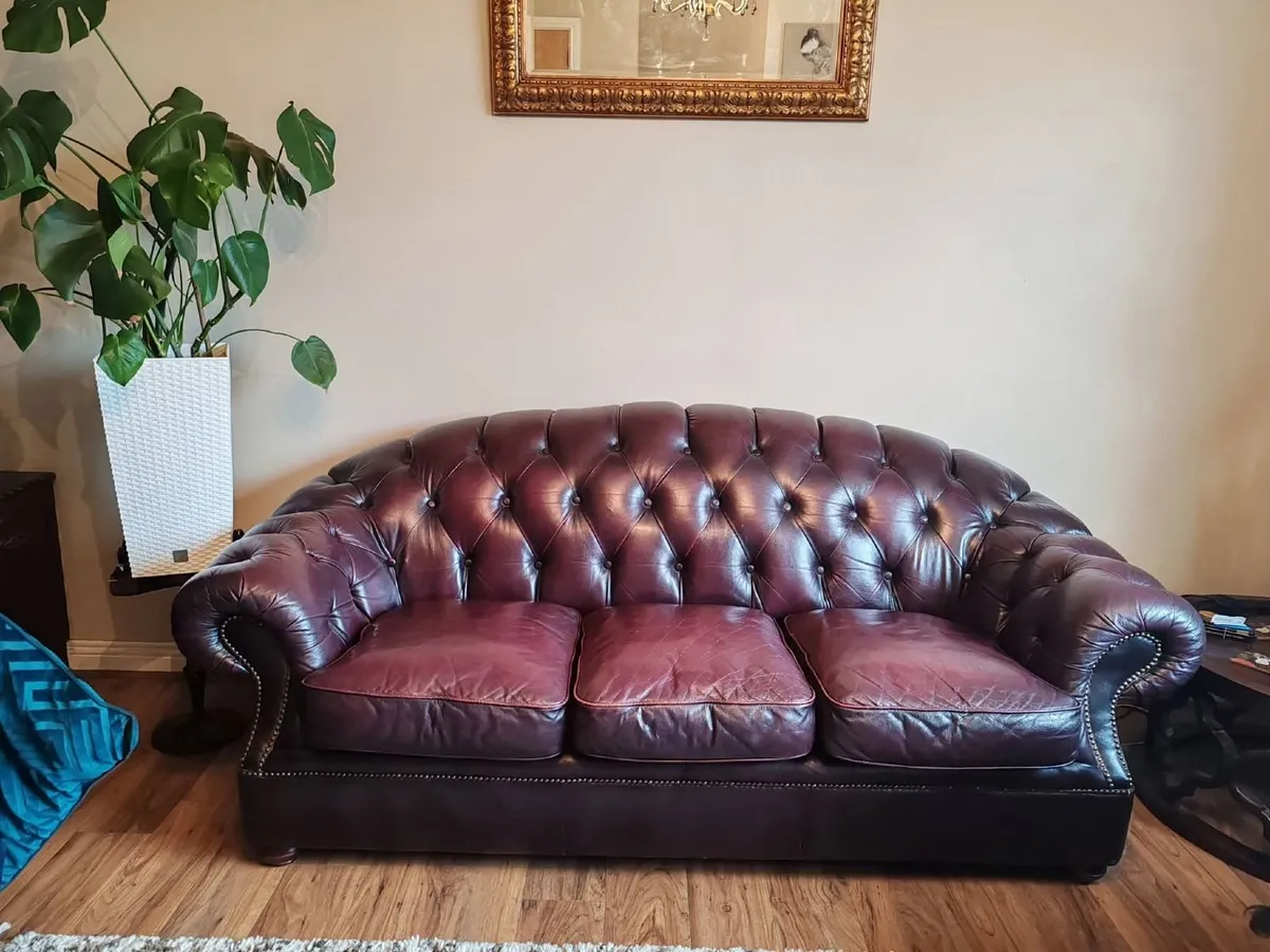 Buffolo leather  3 piece Suite in Victoria style - Image 1