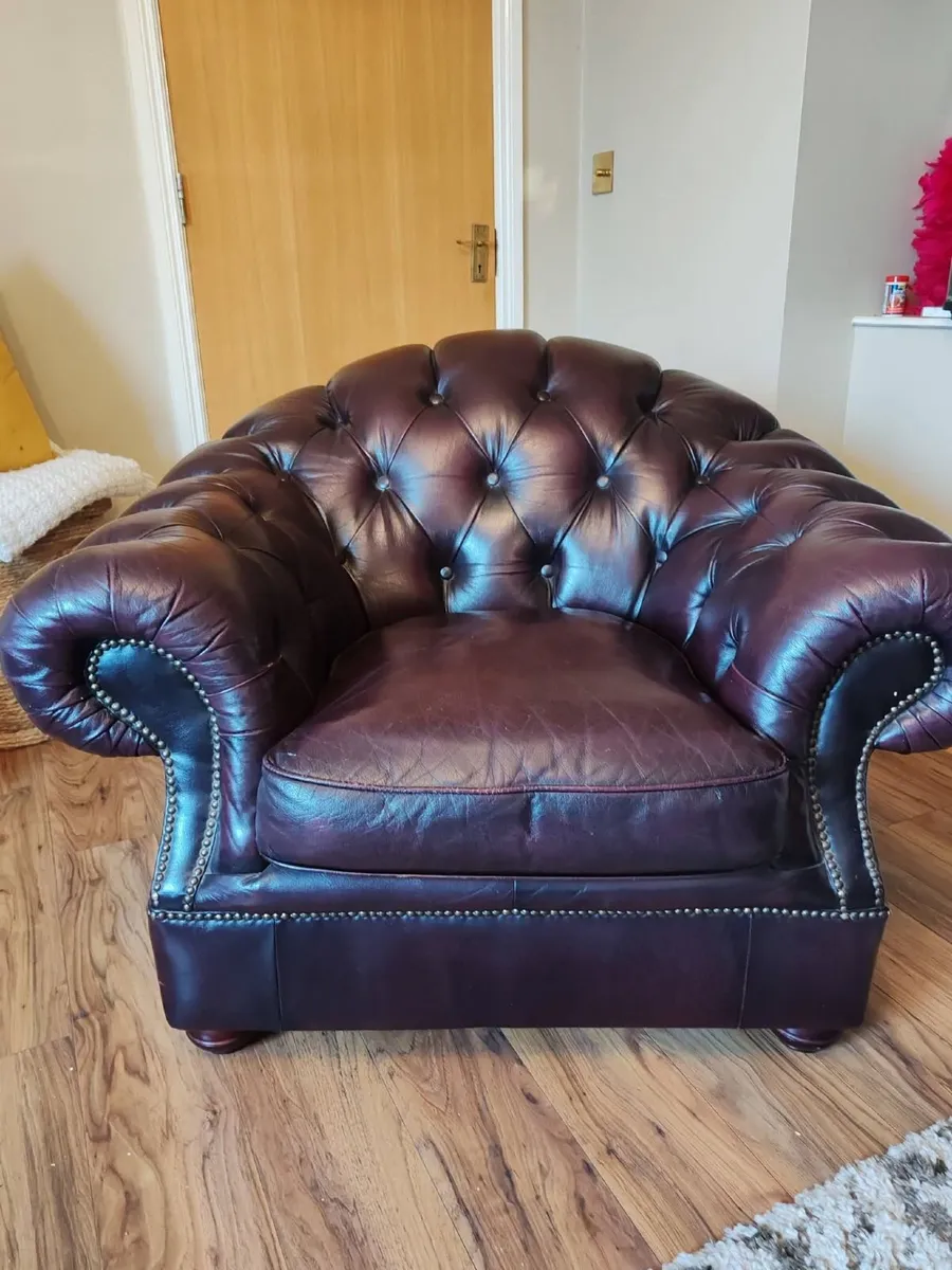 Buffolo leather  3 piece Suite in Victoria style - Image 4