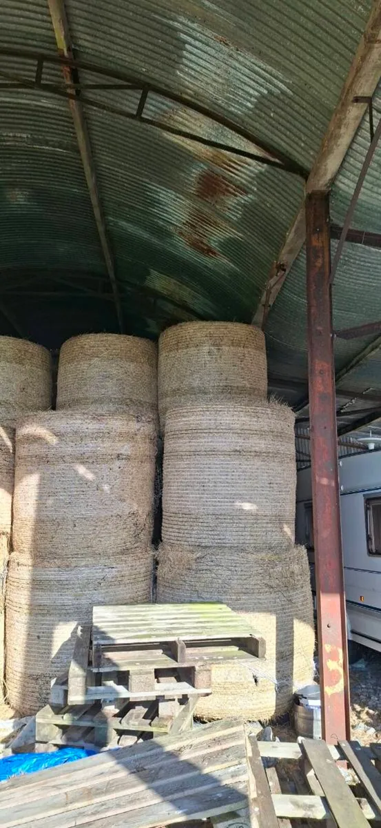 Hay - Image 3