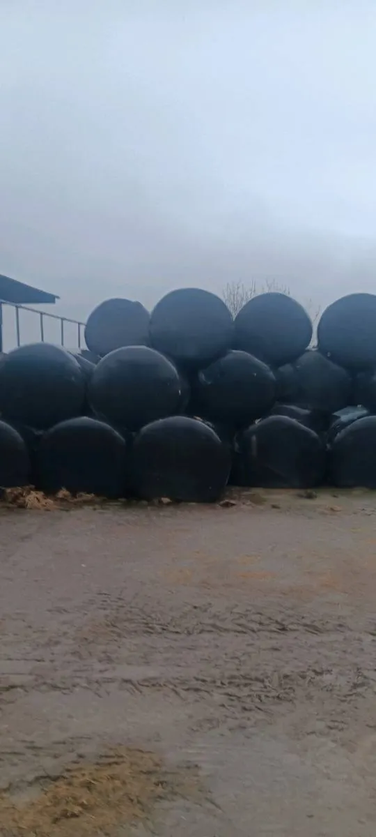 Silage bales for sale
