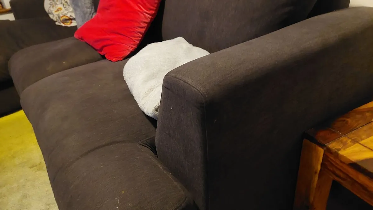 Dark Grey fabric Sofa and Chaise long FREE - Image 2