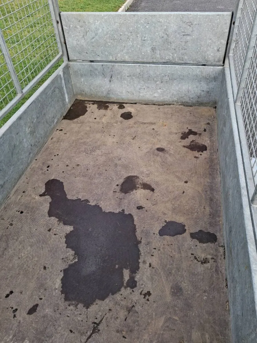 Car trailer for sale - Image 3