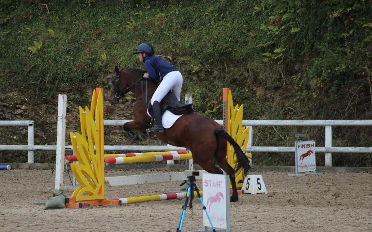 13.2 (107 sji points) life measured for lease - Image 1