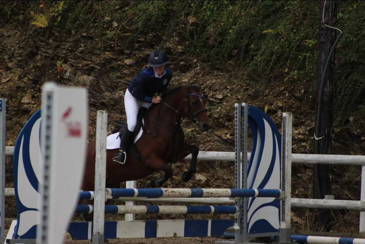 13.2 (107 sji points) life measured for lease - Image 4