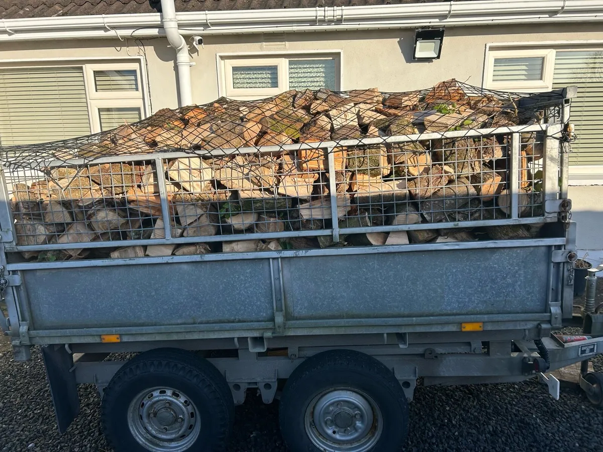 8x5 Load of mixed firewood - Image 3