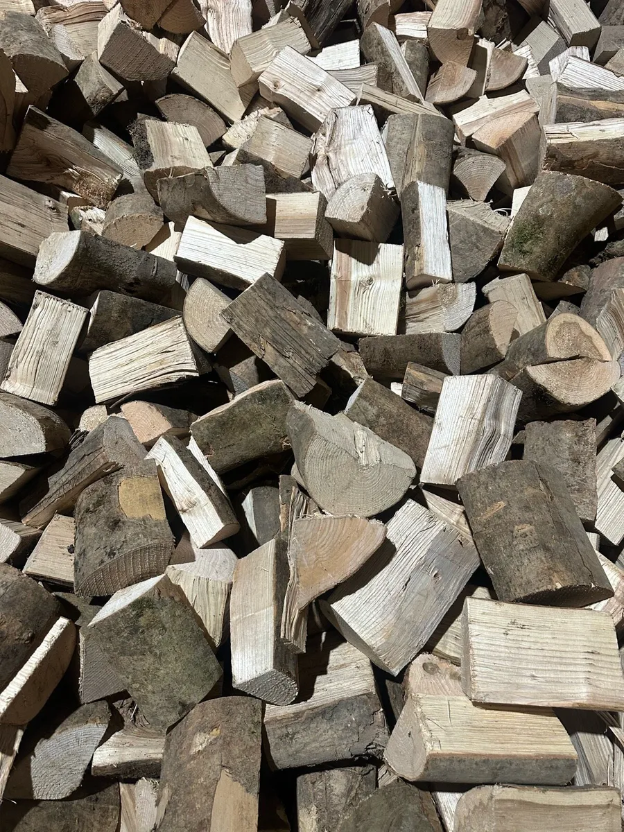 Seasoned Hardwood Logs - Image 2