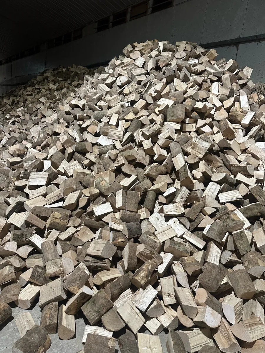 Seasoned Hardwood Logs - Image 3