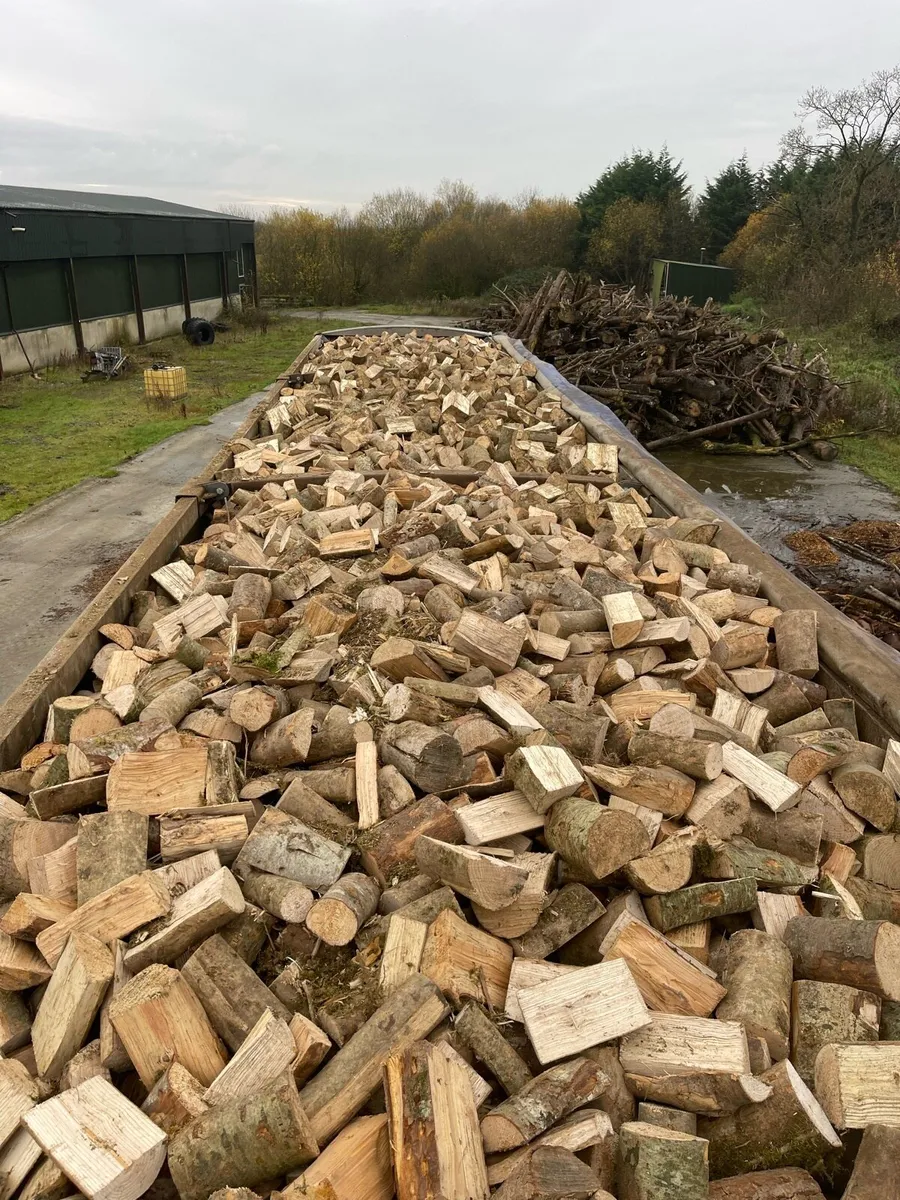 Seasoned Hardwood Logs - Image 1