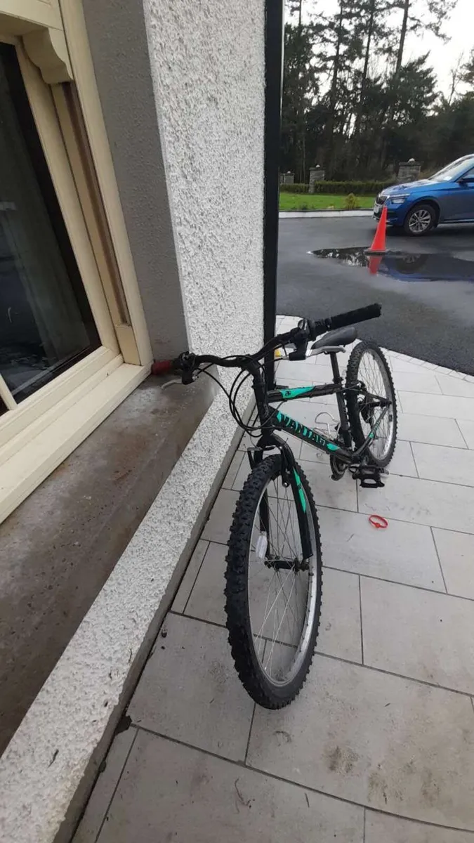 Bike - quick sale needed - Image 1