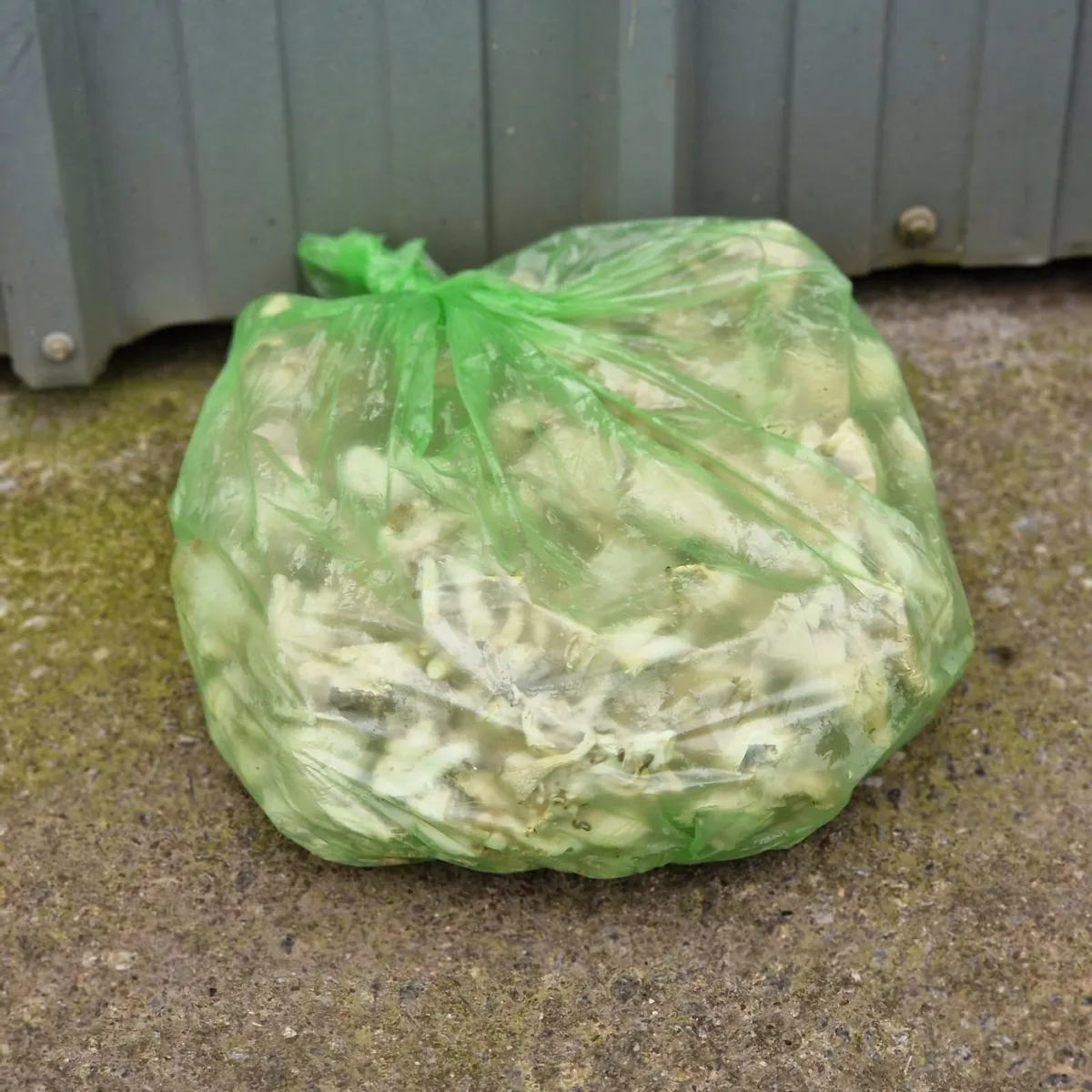 Spent Oyster Mushroom Blocks for sale - Image 4