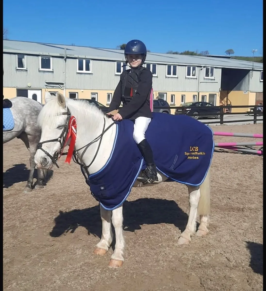 🇮🇪12.2 grade A Bayview Tom🇮🇪 - Image 1