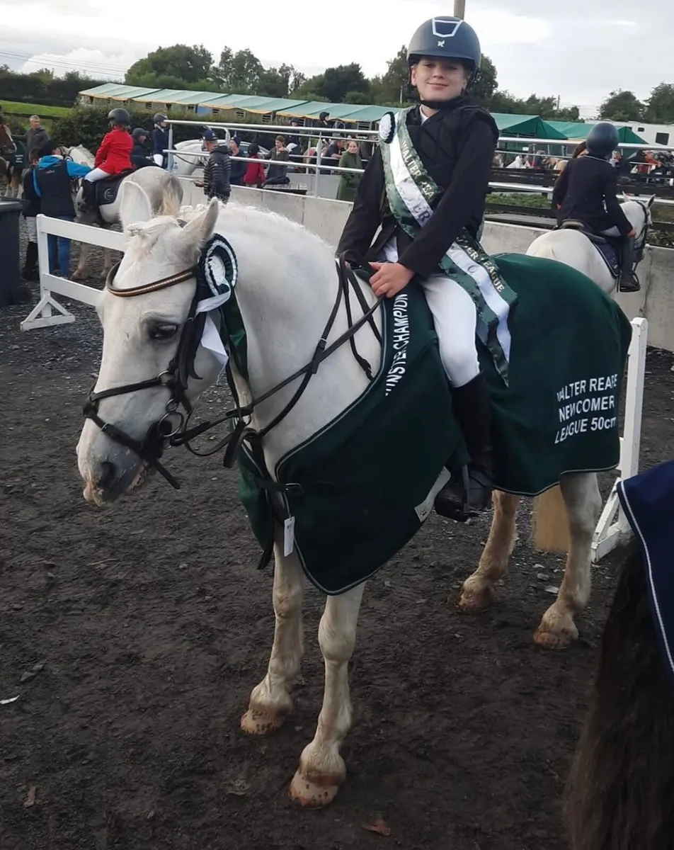 🇮🇪12.2 grade A Bayview Tom🇮🇪 - Image 3