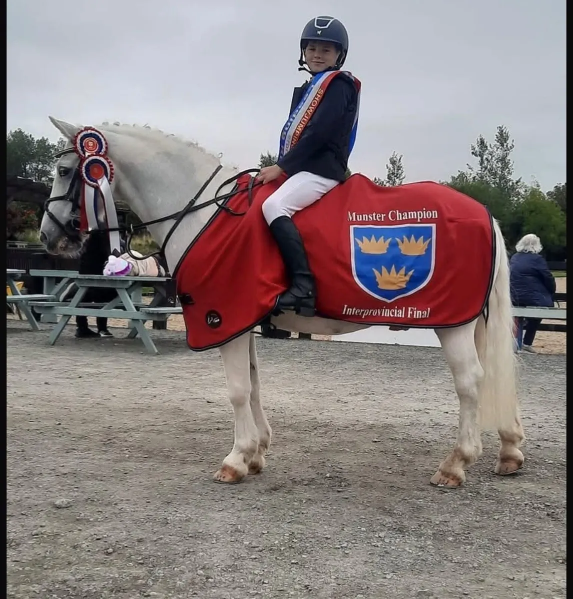 🇮🇪12.2 grade A Bayview Tom🇮🇪 - Image 4