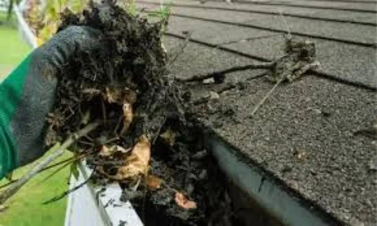 Gutter Cleaning mayo