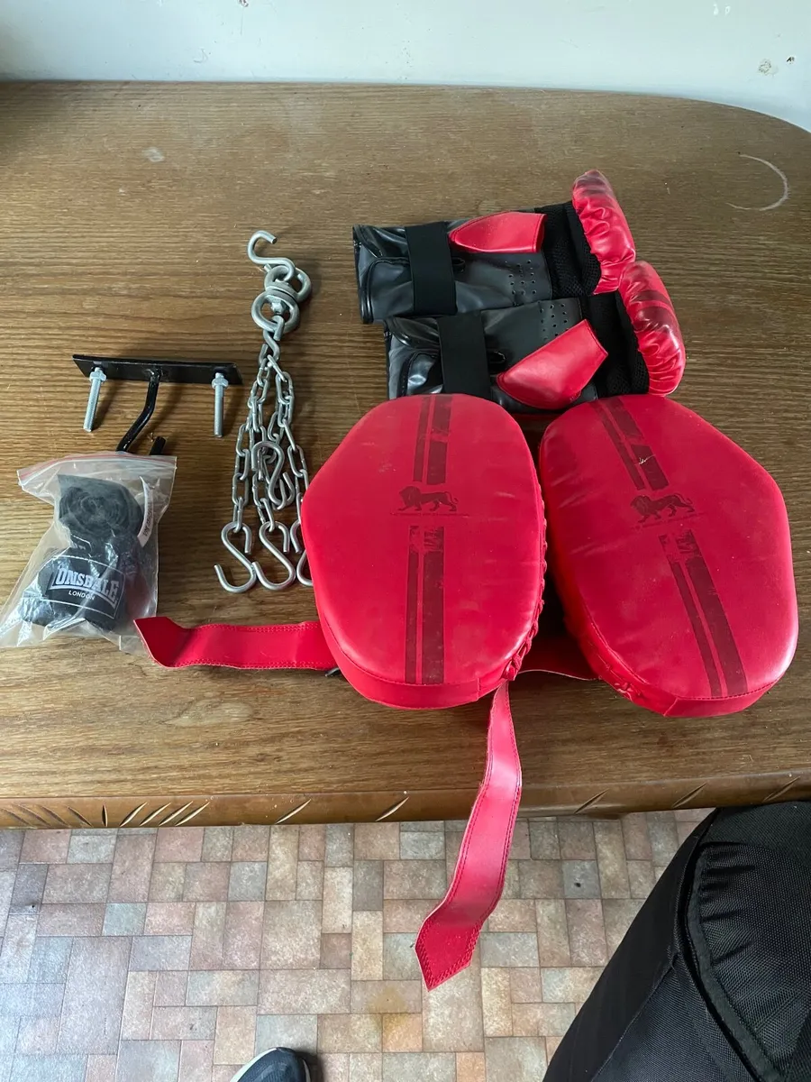 Boxing punch bag - Image 1