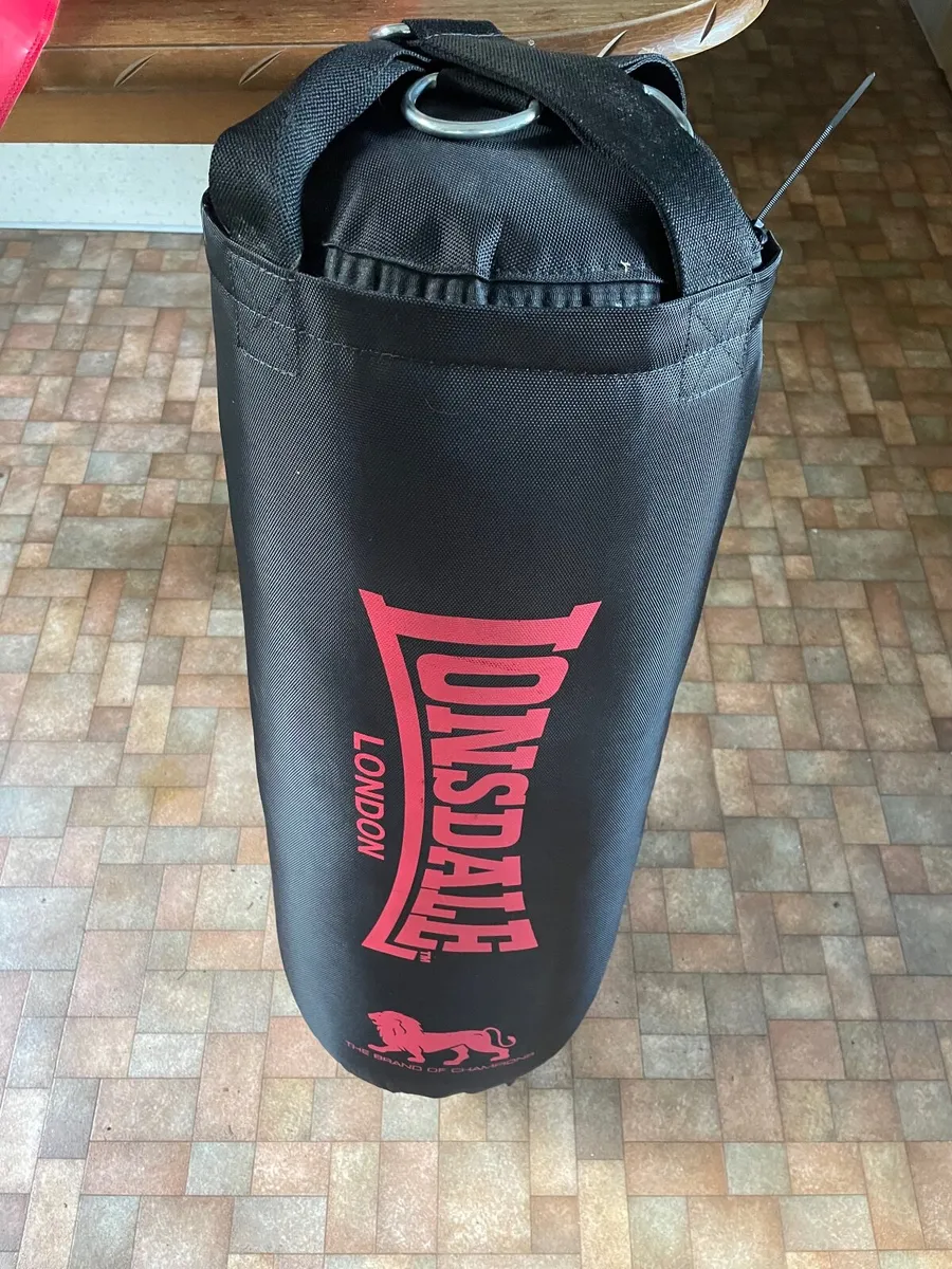Boxing punch bag - Image 4