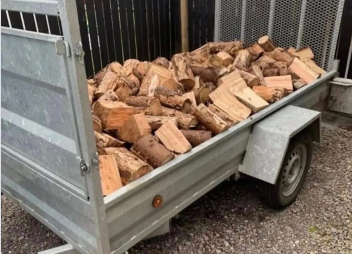 Timber Firewood - Image 1