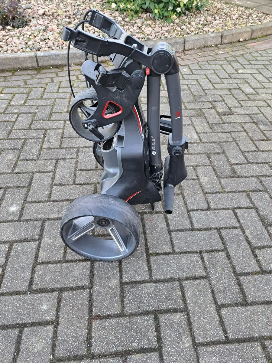 Electric golf cart - Image 3