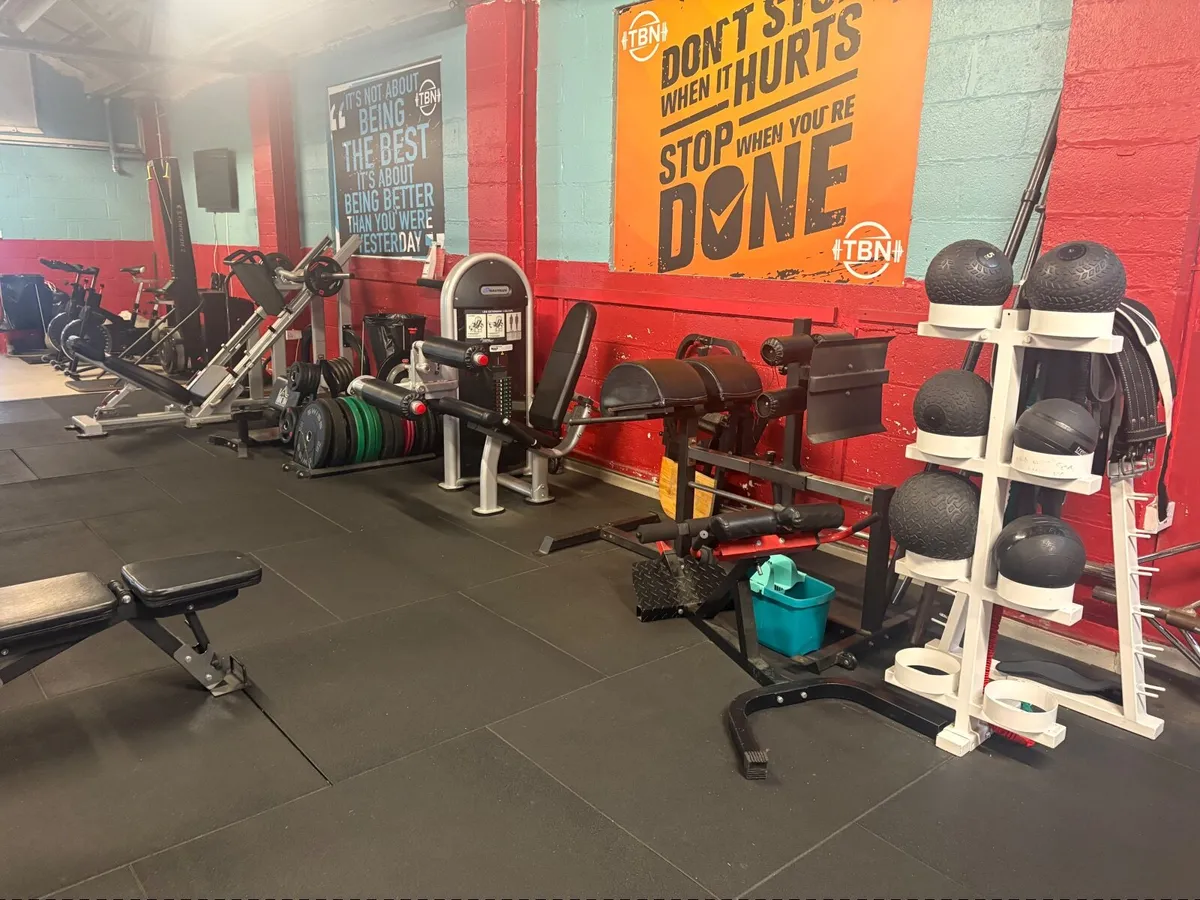 Gym Business - Image 2