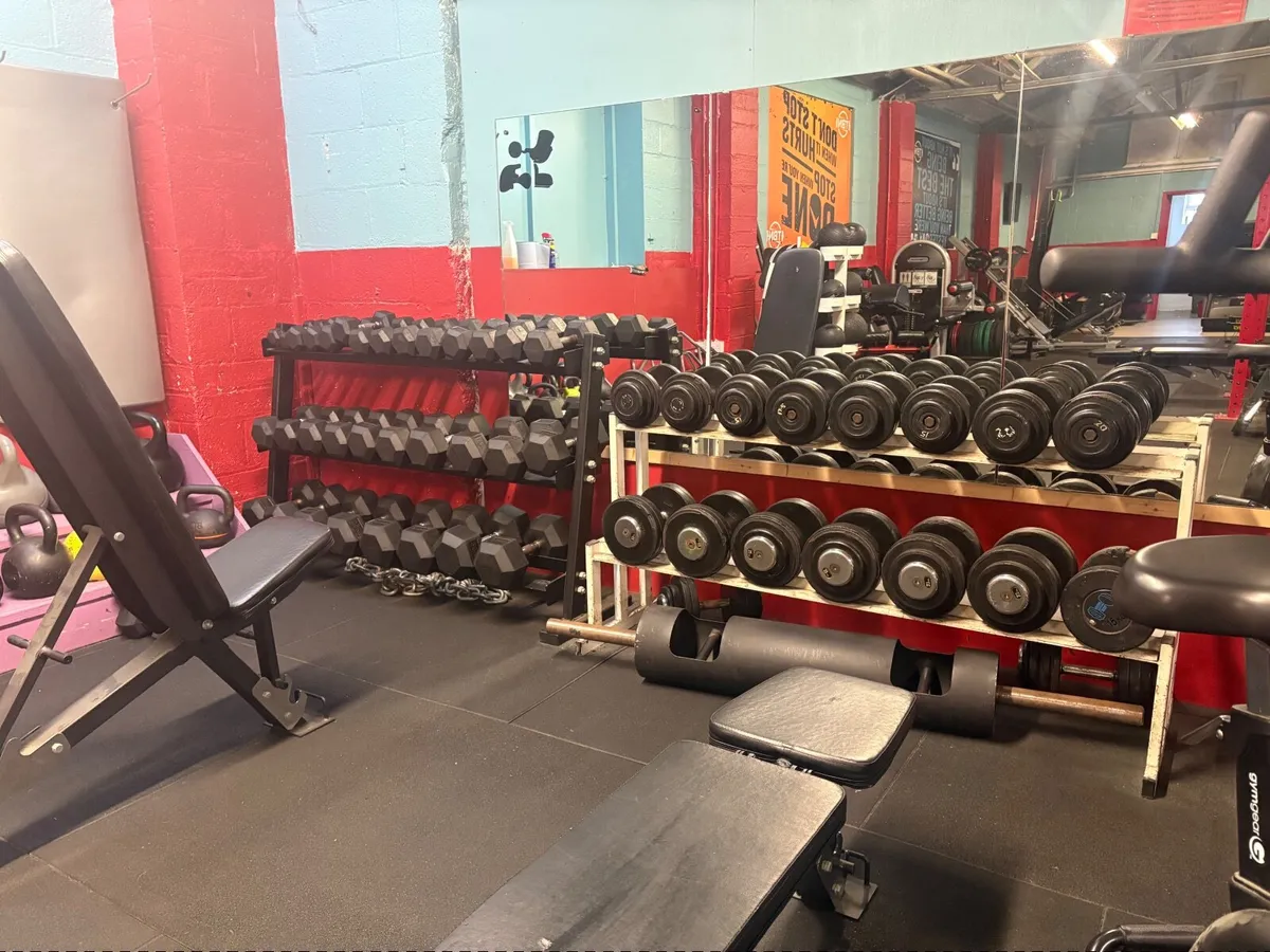 Gym Business - Image 4