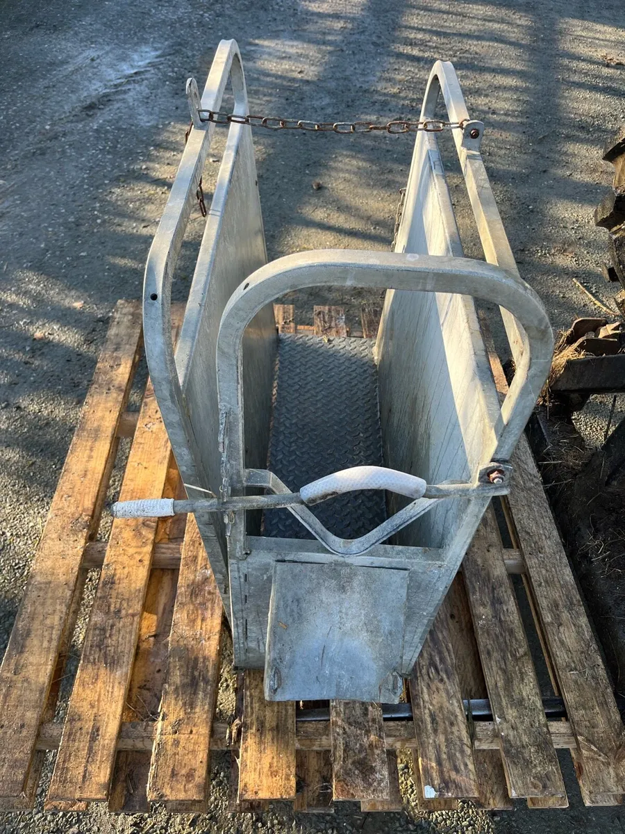 Dehorning crate - Image 2