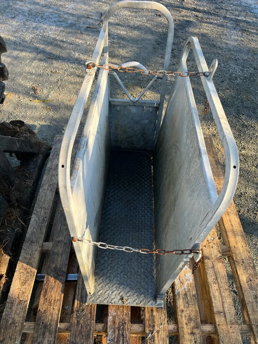 Dehorning crate - Image 3