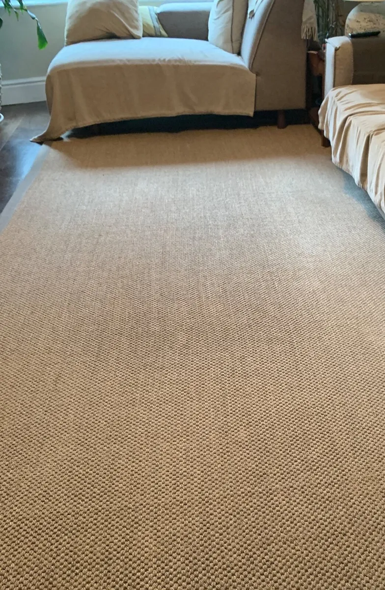 Sisal Rug - Image 2