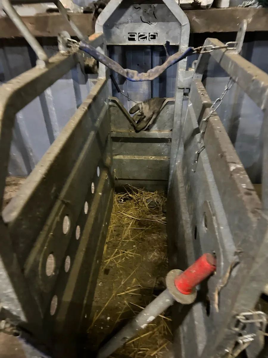 Dehorning Crate - Image 1