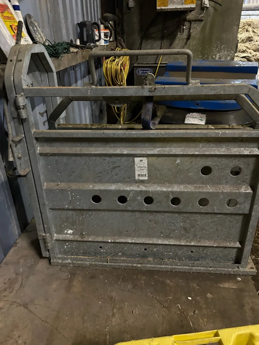Dehorning Crate - Image 2