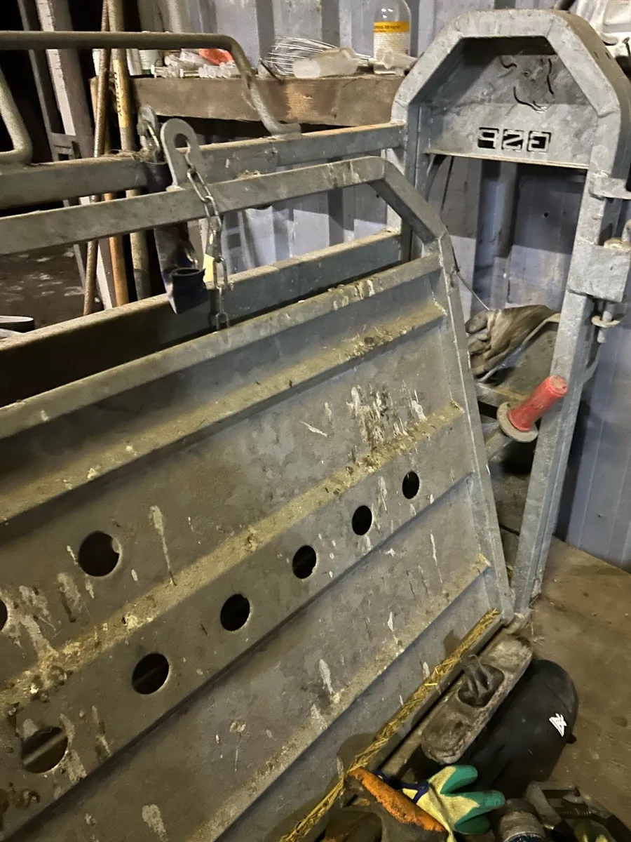 Dehorning Crate - Image 3