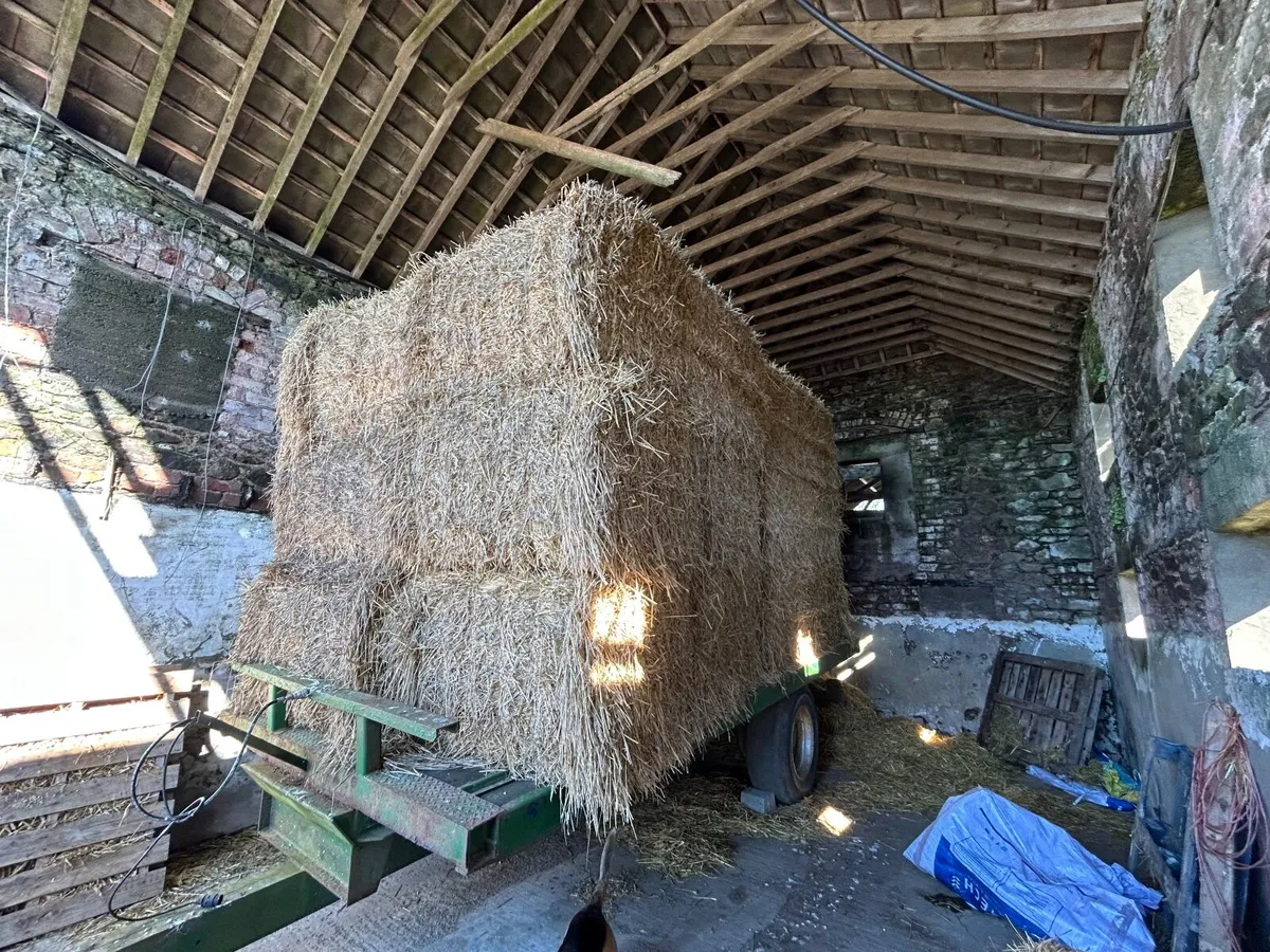 8x4x3 Wheat straw