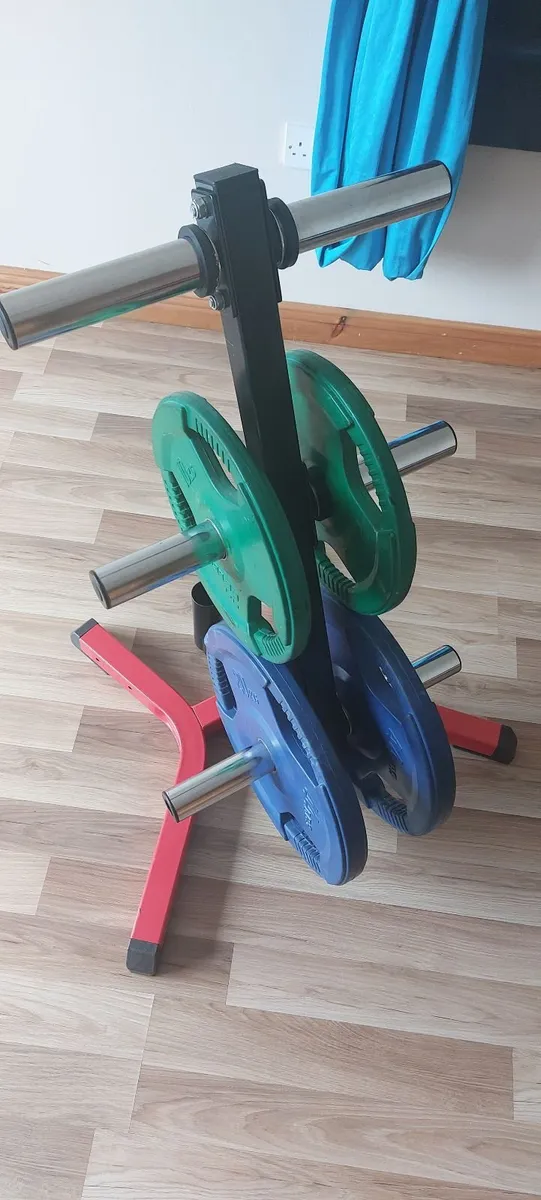 Olympic Weight Plates Tree - Image 4