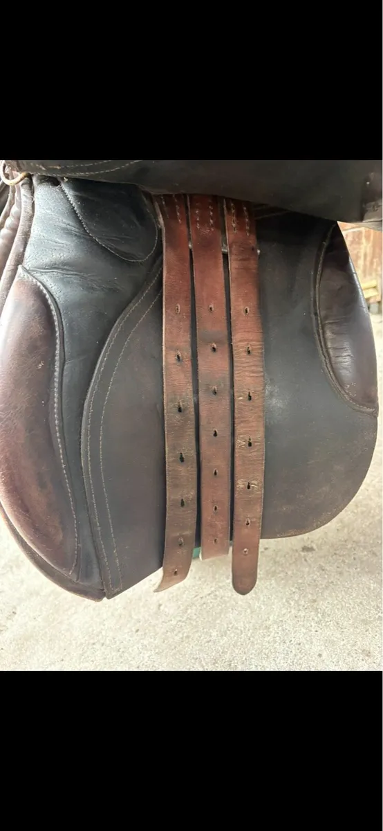 16.5” GP Sadde - Image 3