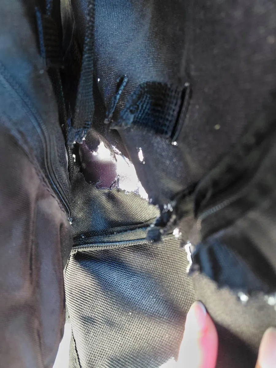 Out and about double nipper - Image 4