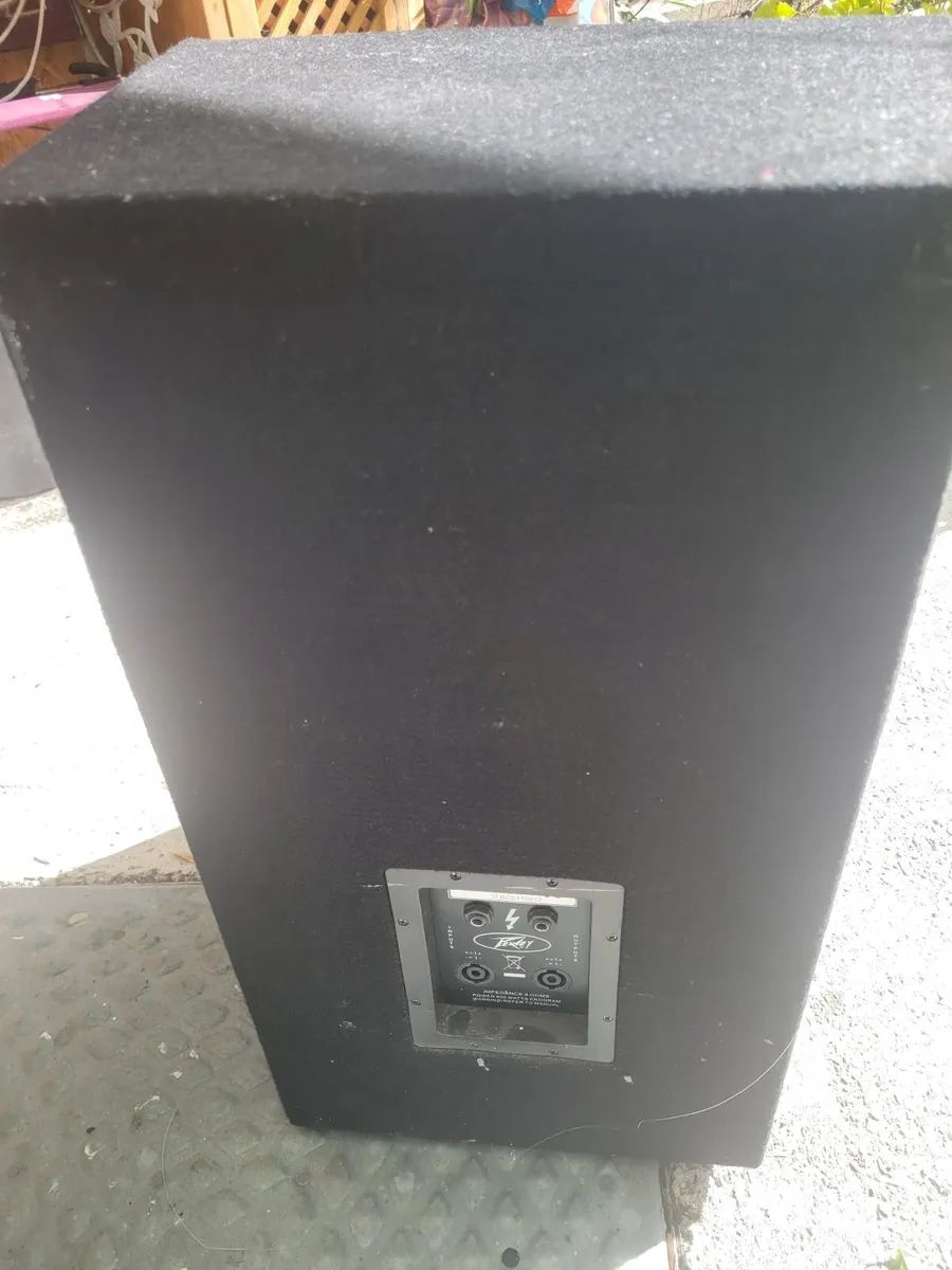 Pa Speaker - Image 1