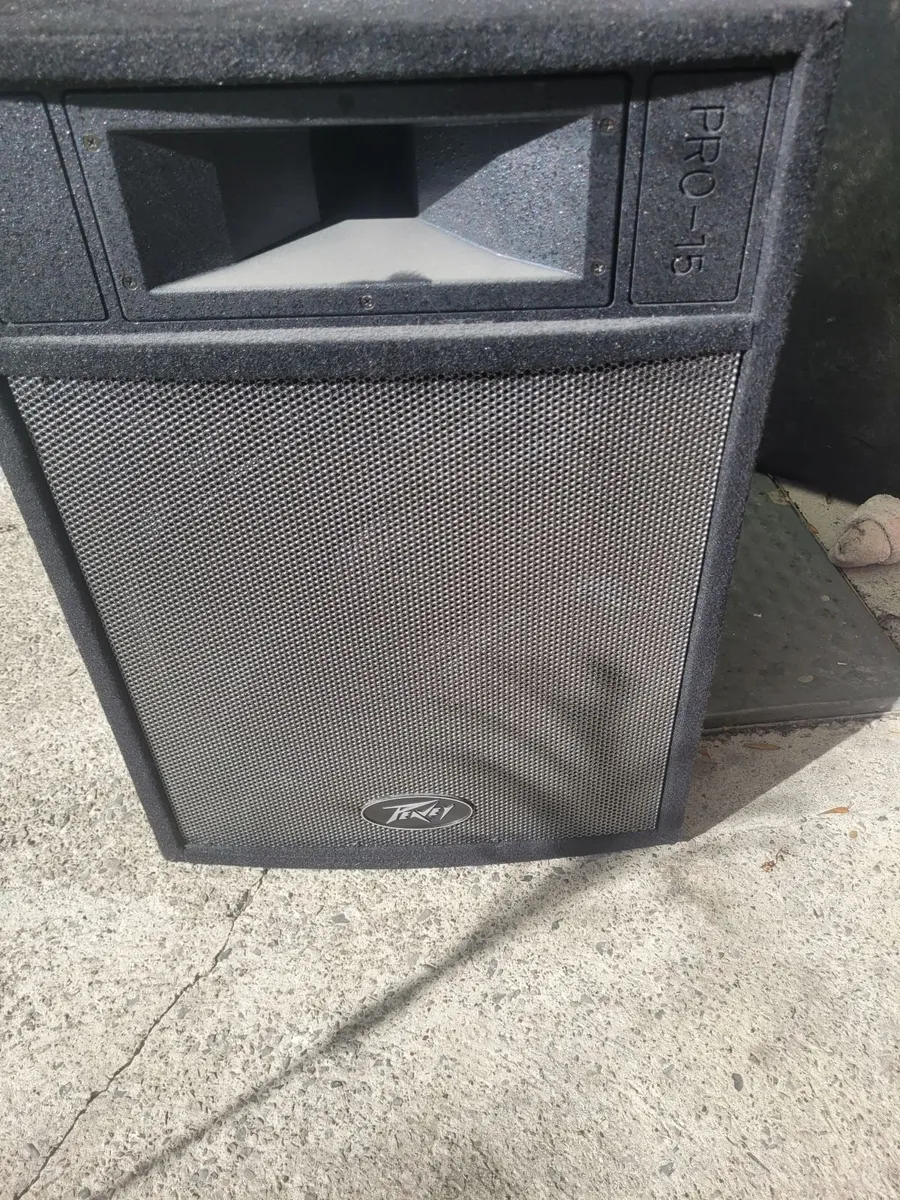 Pa Speaker - Image 2