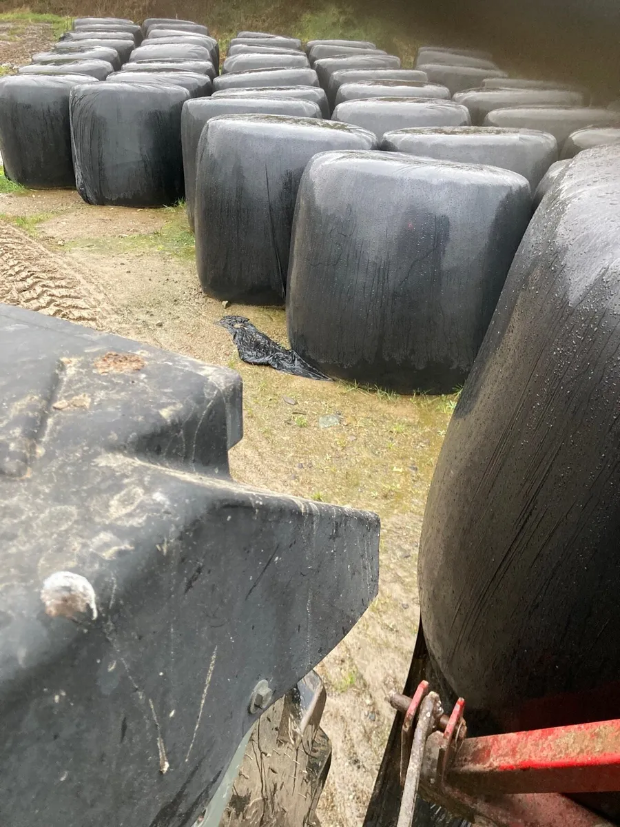 Silage