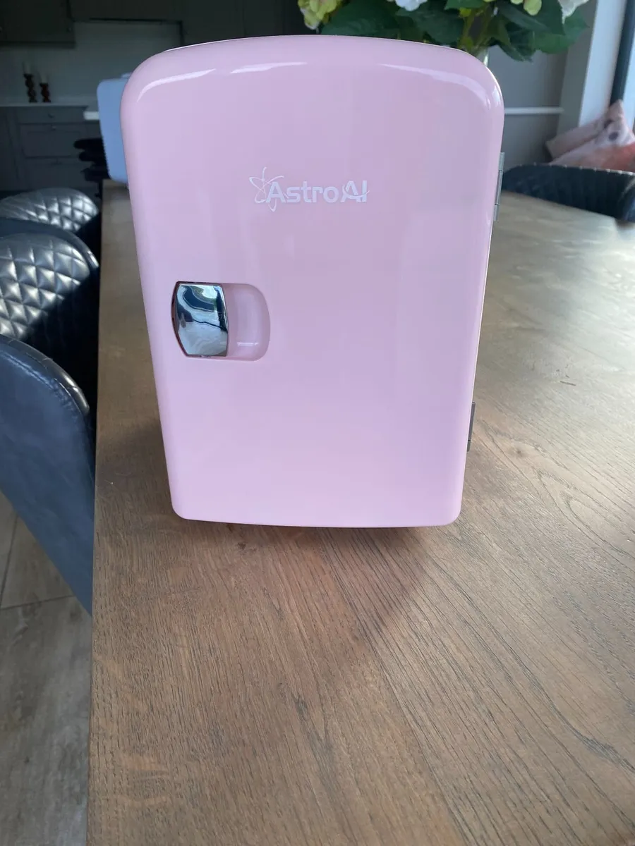 Mini Fridge - Image 1