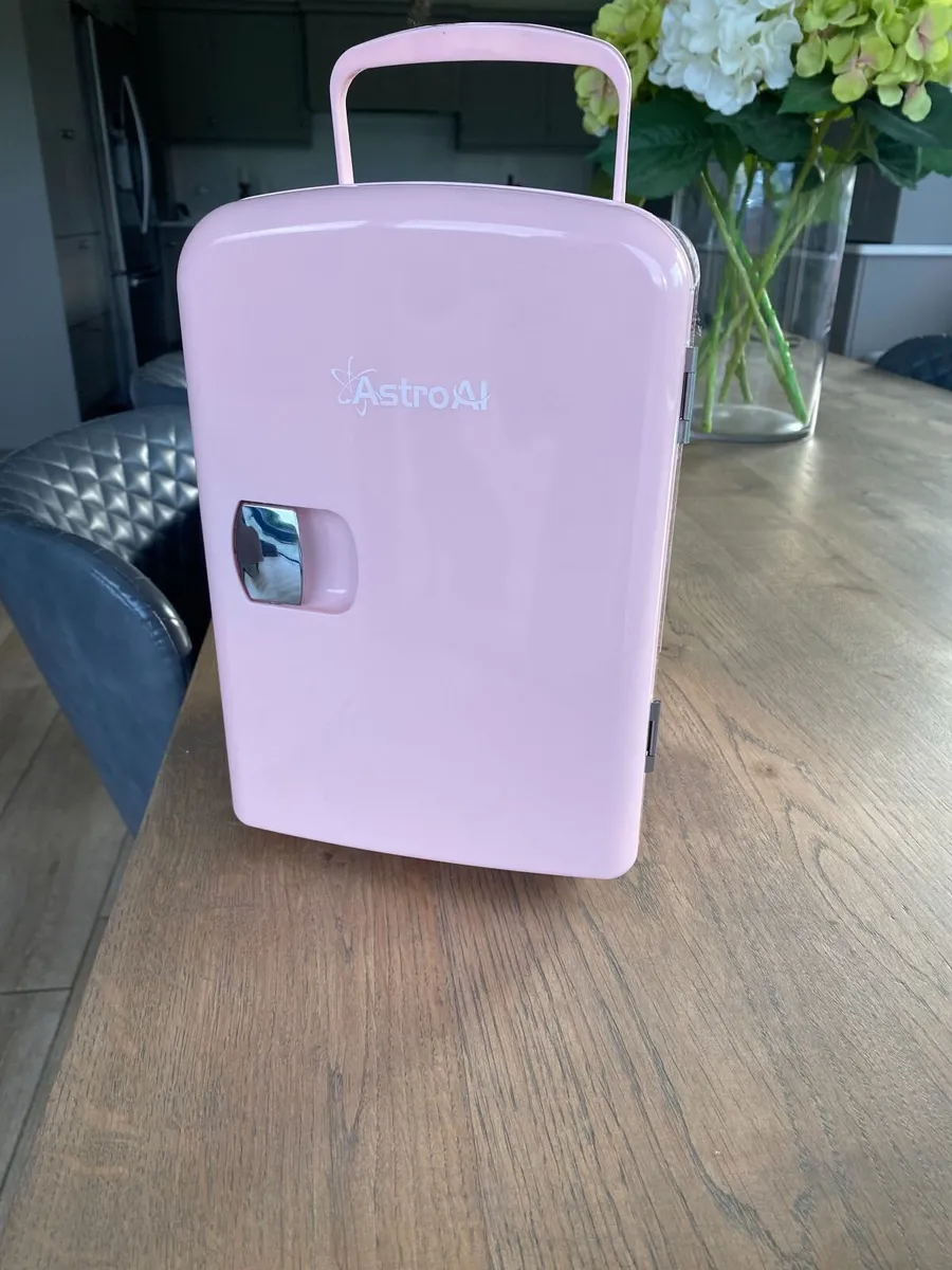 Mini Fridge - Image 4