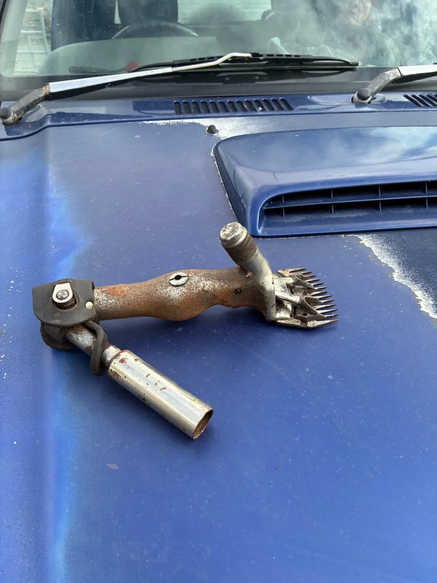 LISTER 3 SPEED  SHEARING MACHINE - Image 3