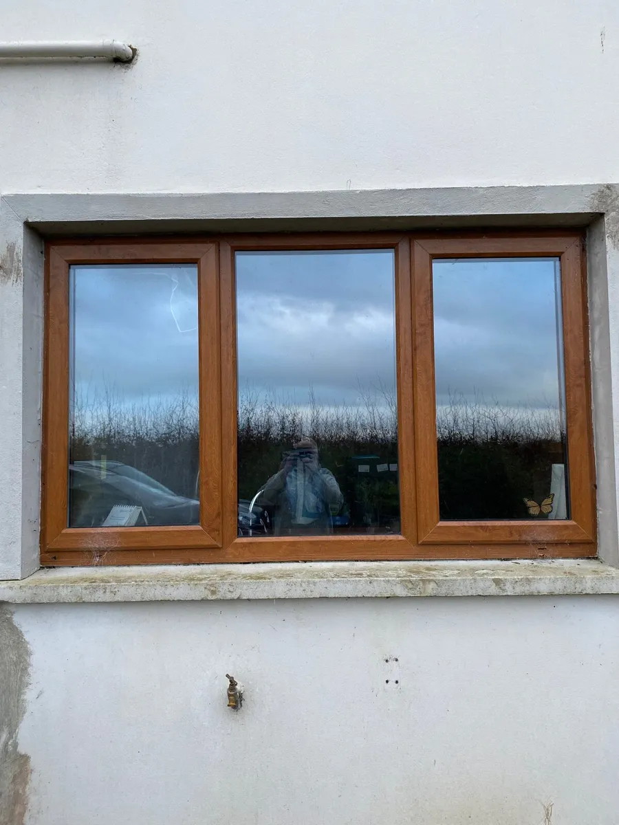 Double glazed Windows - Image 1