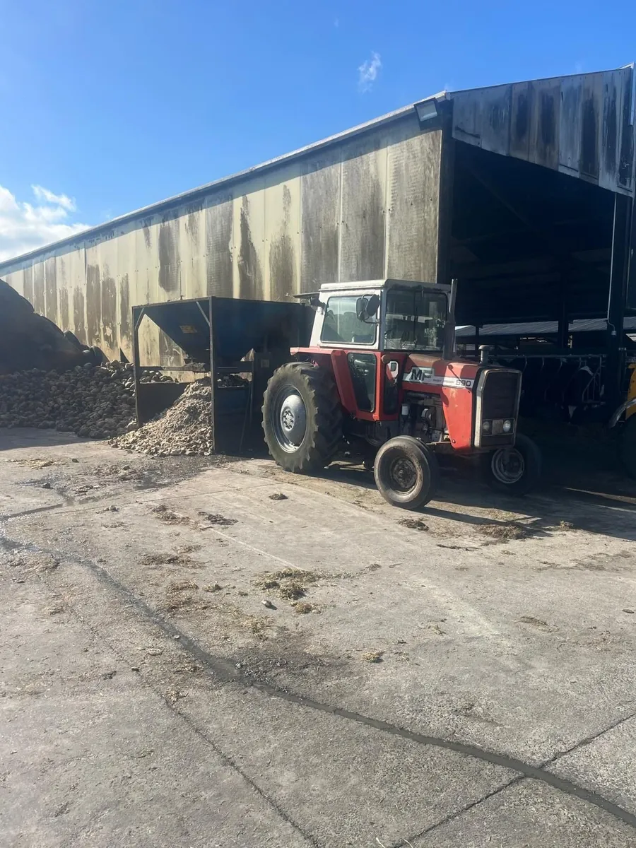 Massey Ferguson Other 1980 - Image 2