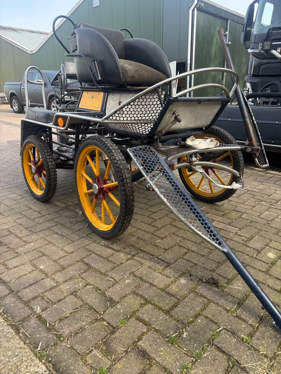 Pony carriages - Image 1