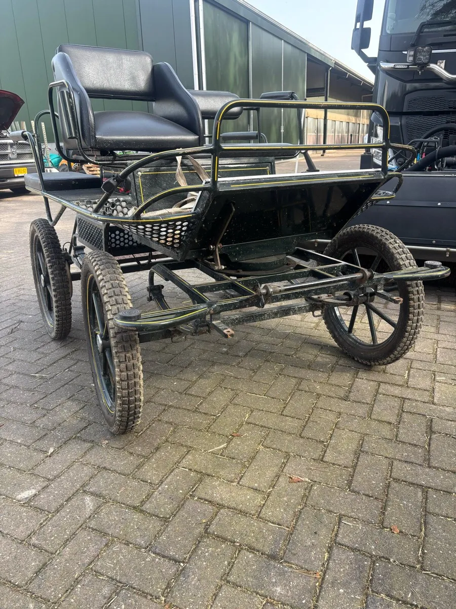 Pony carriages - Image 2