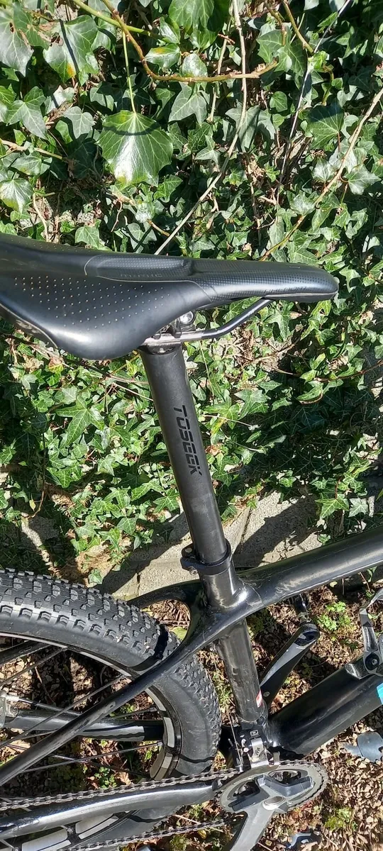 Mountain Bike - Image 2