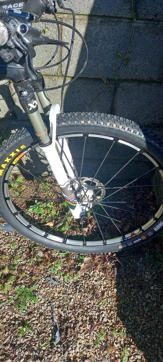 Mountain Bike - Image 4