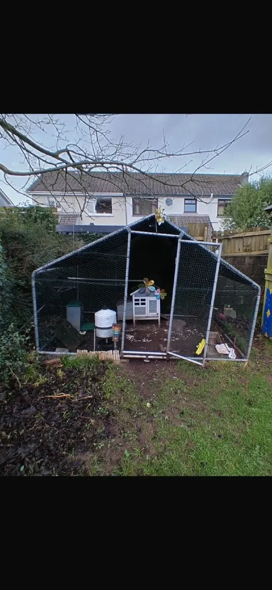 Chicken / Dog Run