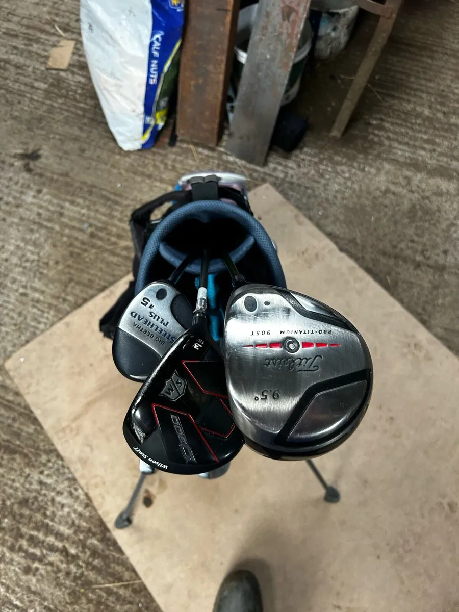Golf Clubs and Bag - Image 1